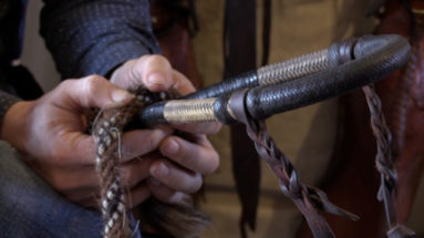 how to fit a hackamore on a horse