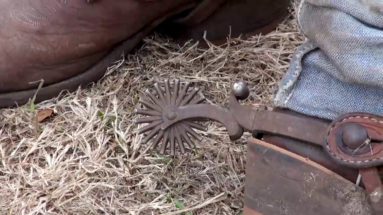 do spurs hurt horses, how to use spurs correctly on a horse