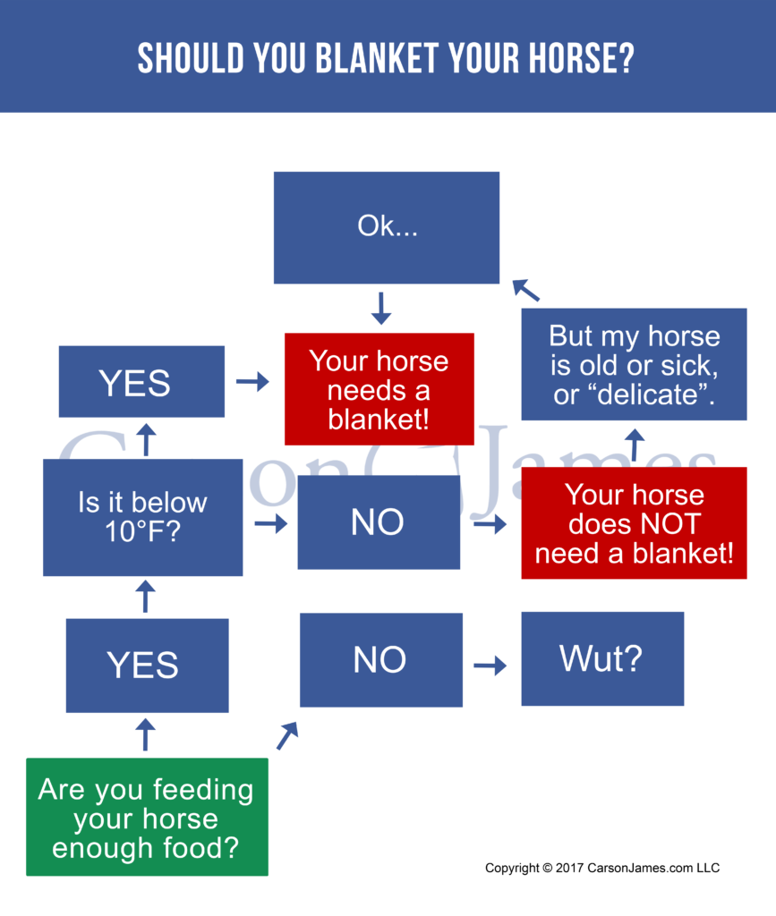Should I Blanket My Horse?