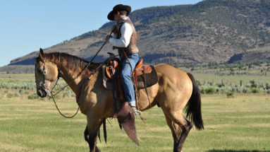 is natural horsemanship ruining horses