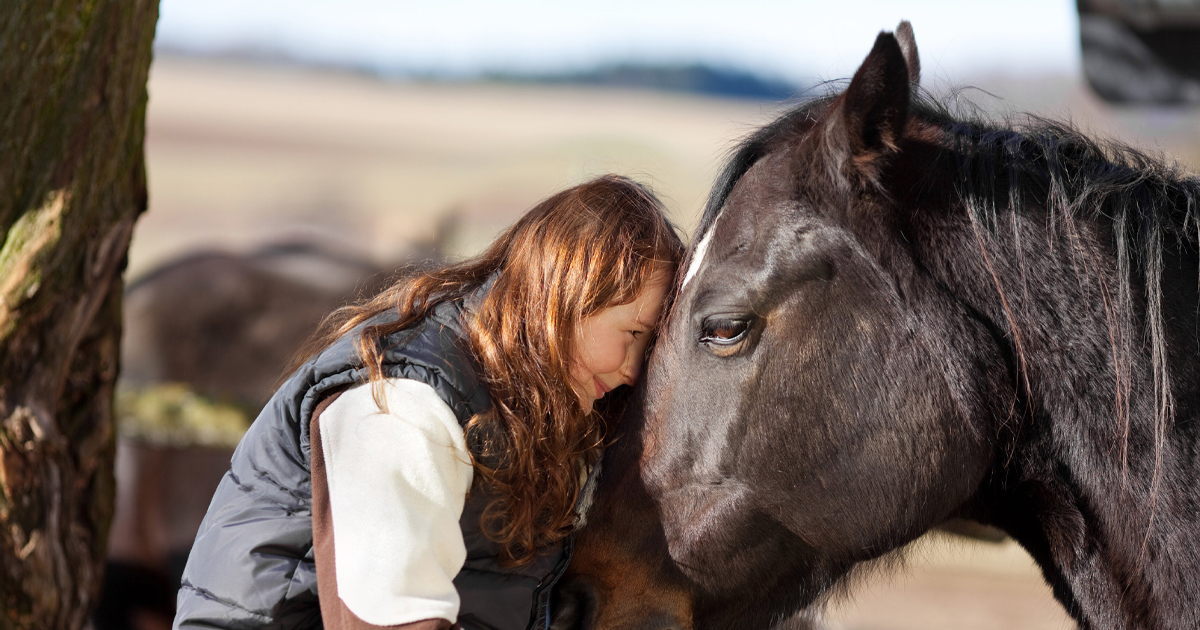 Think Like A Horse The Ultimate Guide