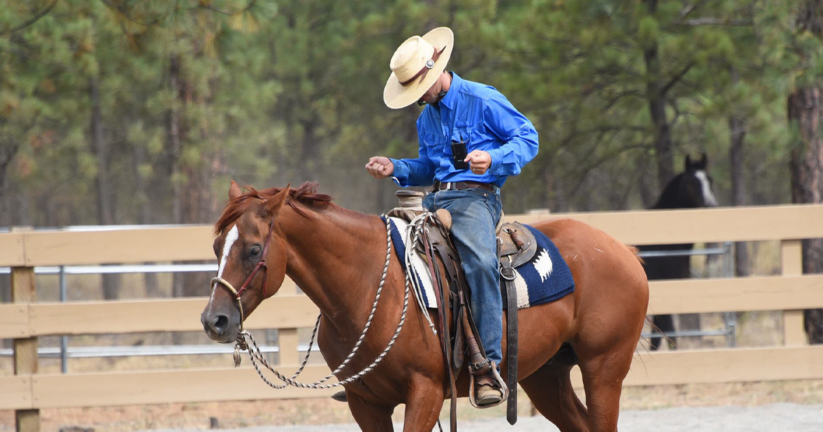 Successful Horse Training Carson James Blog