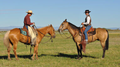 switching riders blog